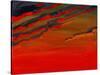 Sky Portrait of a Sunset-John Newcomb-Stretched Canvas