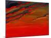 Sky Portrait of a Sunset-John Newcomb-Mounted Giclee Print