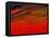 Sky Portrait of a Sunset-John Newcomb-Framed Stretched Canvas