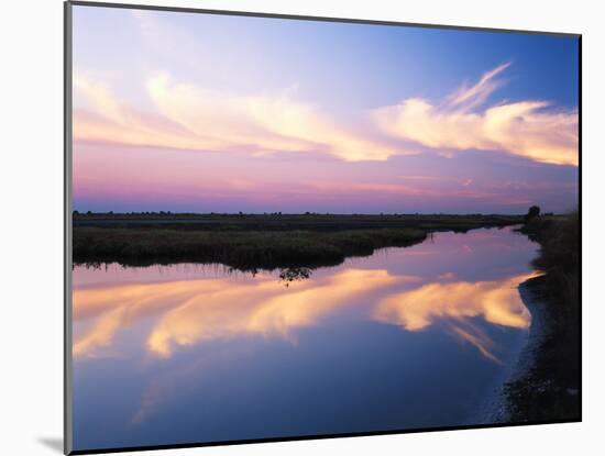 Sky Reflected in Wetlands, Merritt Island National Wildlife Refuge, Florida, USA-Adam Jones-Mounted Premium Photographic Print