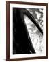 Sky Sculpture I-Tang Ling-Framed Photographic Print