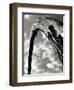 Sky Sculpture II-Tang Ling-Framed Photographic Print