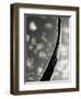 Sky Sculpture II-Tang Ling-Framed Photographic Print