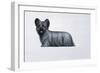 Sky Terrier-Harro Maass-Framed Giclee Print