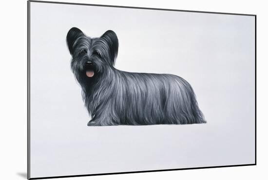 Sky Terrier-Harro Maass-Mounted Giclee Print