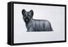 Sky Terrier-Harro Maass-Framed Stretched Canvas