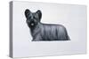 Sky Terrier-Harro Maass-Stretched Canvas