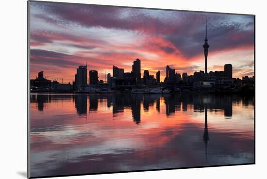 Sky Tower and City at Dawn from Westhaven Marina, Auckland, North Island, New Zealand, Pacific-Stuart-Mounted Photographic Print