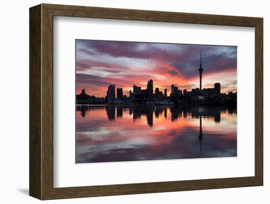Sky Tower and City at Dawn from Westhaven Marina, Auckland, North Island, New Zealand, Pacific-Stuart-Framed Photographic Print