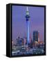Sky Tower and City Skyline at Dusk, Auckland, North Island, New Zealand, Pacific-Jeremy Bright-Framed Stretched Canvas