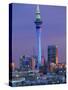 Sky Tower and City Skyline at Dusk, Auckland, North Island, New Zealand, Pacific-Jeremy Bright-Stretched Canvas