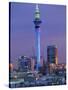 Sky Tower and City Skyline at Dusk, Auckland, North Island, New Zealand, Pacific-Jeremy Bright-Stretched Canvas