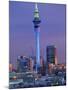 Sky Tower and City Skyline at Dusk, Auckland, North Island, New Zealand, Pacific-Jeremy Bright-Mounted Photographic Print
