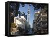 Sky Tower from Victoria Street East, Auckland, North Island, New Zealand, Pacific-Nick Servian-Framed Stretched Canvas