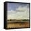 Sky View I-Tim O'toole-Framed Stretched Canvas