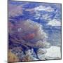 Sky View III-Carl Ellie-Mounted Art Print