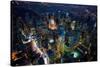 Sky View New York IV-Jason Hawkes-Stretched Canvas