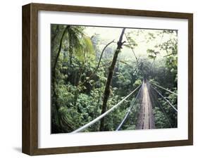 Sky Walk, Monteverde Cloud Forest, Costa Rica-Michele Westmorland-Framed Photographic Print