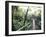 Sky Walk, Monteverde Cloud Forest, Costa Rica-Michele Westmorland-Framed Photographic Print