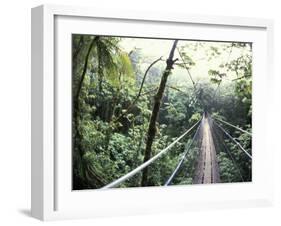 Sky Walk, Monteverde Cloud Forest, Costa Rica-Michele Westmorland-Framed Photographic Print