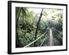 Sky Walk, Monteverde Cloud Forest, Costa Rica-Michele Westmorland-Framed Photographic Print