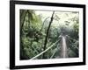 Sky Walk, Monteverde Cloud Forest, Costa Rica-Michele Westmorland-Framed Photographic Print