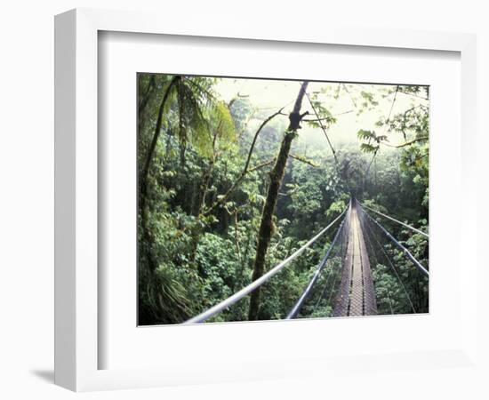 Sky Walk, Monteverde Cloud Forest, Costa Rica-Michele Westmorland-Framed Photographic Print