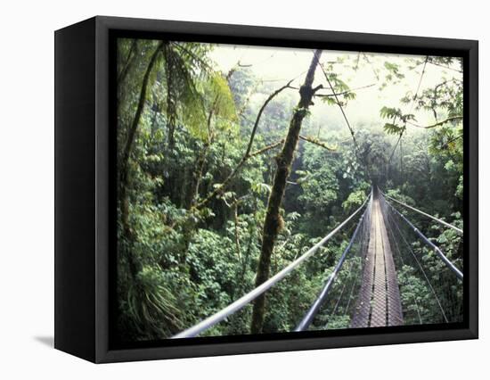 Sky Walk, Monteverde Cloud Forest, Costa Rica-Michele Westmorland-Framed Stretched Canvas