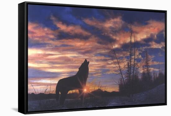 Sky Wolf-Bill Makinson-Framed Stretched Canvas