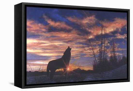 Sky Wolf-Bill Makinson-Framed Stretched Canvas