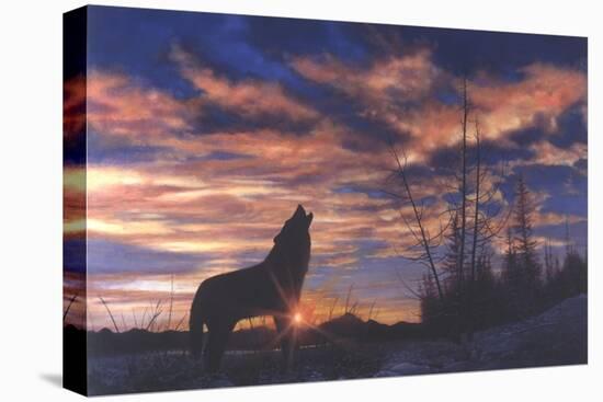 Sky Wolf-Bill Makinson-Stretched Canvas