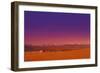 Sky-null-Framed Photographic Print