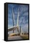 Skydance Footbridge over Highway I-40, Oklahoma City, Oklahoma, USA-Walter Bibikow-Framed Stretched Canvas