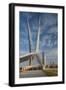 Skydance Footbridge over Highway I-40, Oklahoma City, Oklahoma, USA-Walter Bibikow-Framed Photographic Print