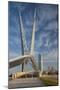 Skydance Footbridge over Highway I-40, Oklahoma City, Oklahoma, USA-Walter Bibikow-Mounted Photographic Print