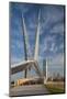 Skydance Footbridge over Highway I-40, Oklahoma City, Oklahoma, USA-Walter Bibikow-Mounted Photographic Print