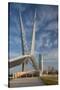 Skydance Footbridge over Highway I-40, Oklahoma City, Oklahoma, USA-Walter Bibikow-Stretched Canvas