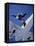 Skydivers Jumping from Plane-null-Framed Stretched Canvas