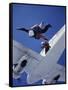 Skydivers Jumping from Plane-null-Framed Stretched Canvas