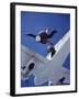 Skydivers Jumping from Plane-null-Framed Premium Photographic Print