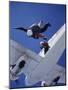 Skydivers Jumping from Plane-null-Mounted Photographic Print