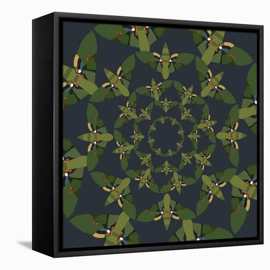 Skydiving Moths-Belen Mena-Framed Stretched Canvas