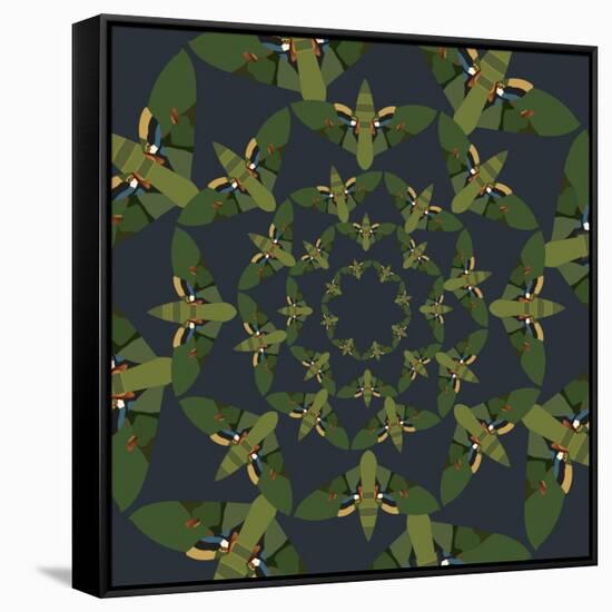 Skydiving Moths-Belen Mena-Framed Stretched Canvas