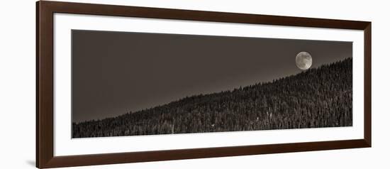 Skyfall-Assaf Frank-Framed Giclee Print