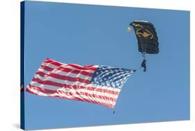 SkyFest, airshow, USSOCOM, army paratrooper, New Smyrna Beach, Florida, USA-Jim Engelbrecht-Stretched Canvas