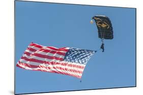 SkyFest, airshow, USSOCOM, army paratrooper, New Smyrna Beach, Florida, USA-Jim Engelbrecht-Mounted Photographic Print