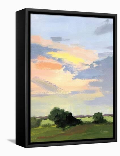 Skylight II-Pamela Munger-Framed Stretched Canvas