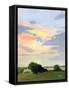 Skylight II-Pamela Munger-Framed Stretched Canvas