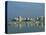 Skyline and Marina, San Antonio Bay, Ibiza, Balearic Islands, Spain, Mediterranean, Europe-Lightfoot Jeremy-Stretched Canvas