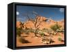 Skyline Arch, Arches National Park, Utah, USA-Jamie & Judy Wild-Framed Stretched Canvas